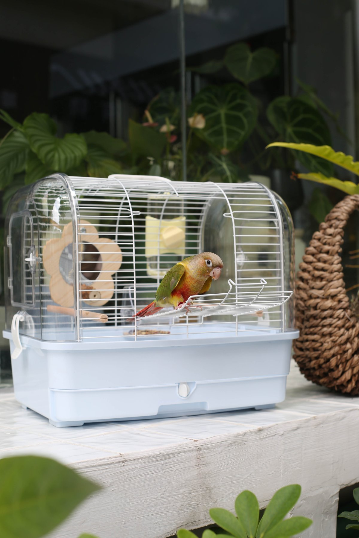 42 External Travel Cage view 2