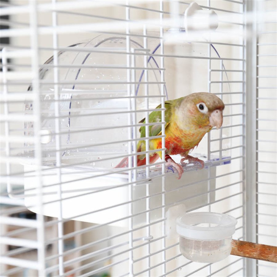 Hanging Bird Bathroom & Feeder view 2