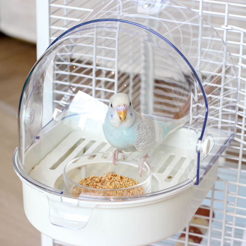 Three-in-one Large Bird Hanging Bathroom